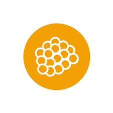 Thumbnail: Lipoburn Brûleur de graisses 