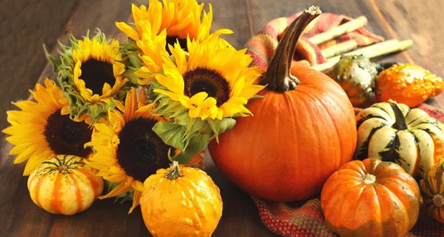 Fall Banner