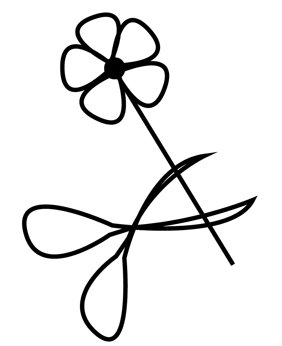 If your Flowers are Wrapped: Cut 1/4 inch of every stem,