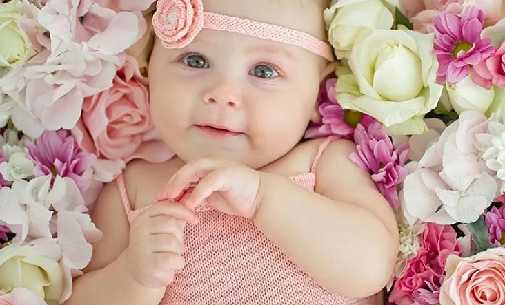 New Baby Flowers Category