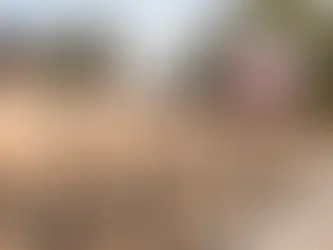 Auxílio Alimentação para Policiais e Bombeiros Militares de MG