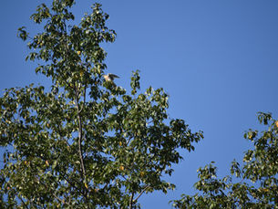 Closer Than You Think