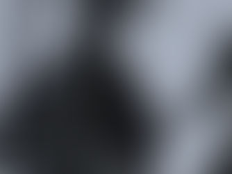 The Seven Pleasures of Birding (and One I Didn’t Expect)