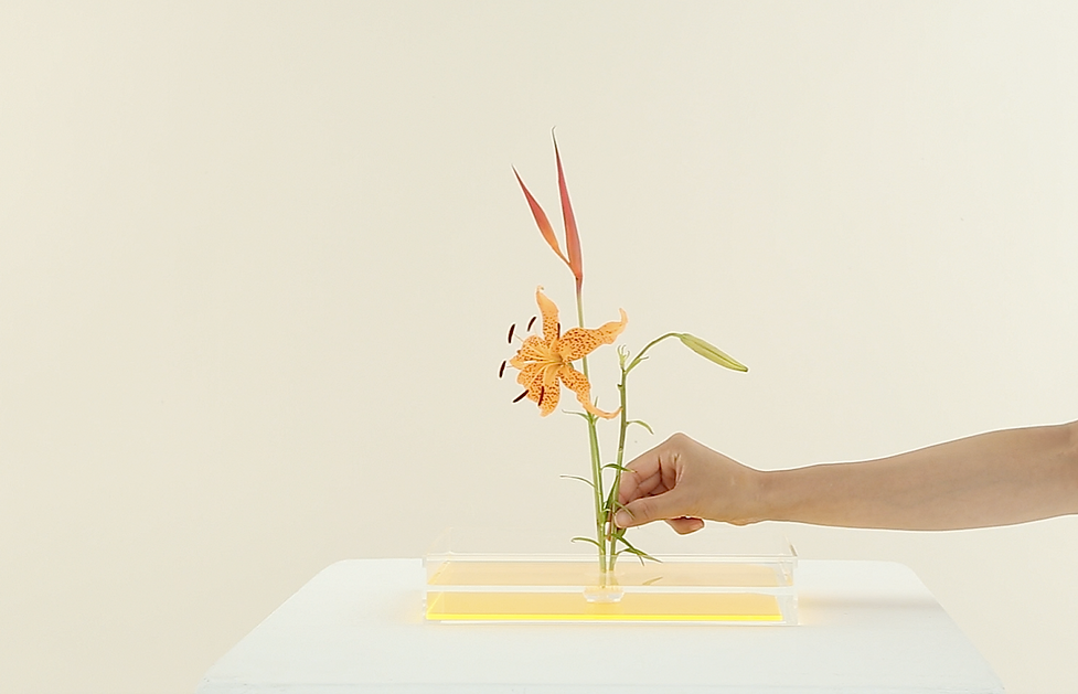 ス クリーンショット 2019-05-23 18.54.58.png