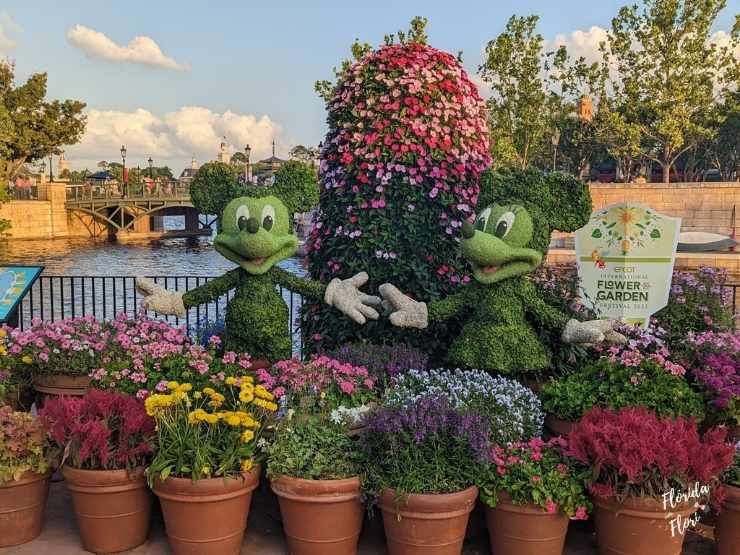 Topiárias do Mickey e Minnie em jardim florido, com vasos coloridos e placa do festival Flower & Garden que acontece em maio em Orlando. Ao fundo, rio e árvores.