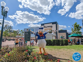 Dicas para primeira viagem para Disney: como planejar