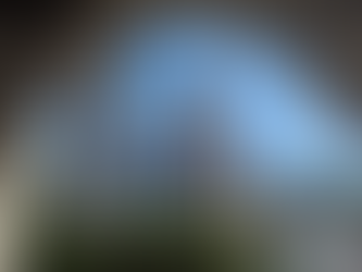 Confira os horários dos parques da Disney