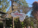 The Boneyard no Animal Kingdom