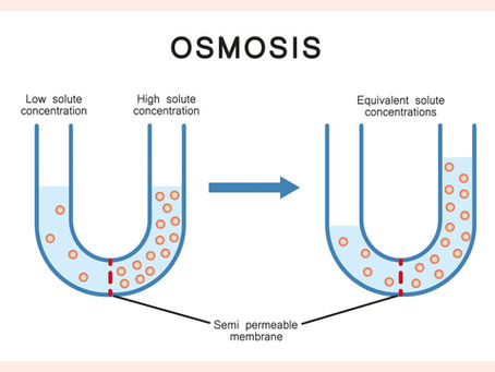 O que é osmose e qual a diferença da difusão simples