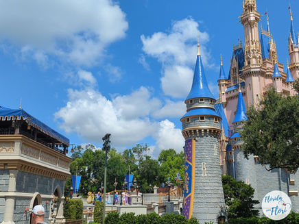 Como comprar o Genie+ da Disney