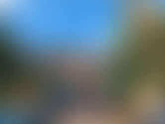 Roundup Rodeo BBQ: restaurante temático de Toy Story no Hollywood Studios