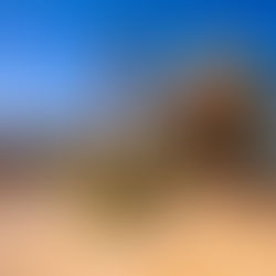 Esse é o maior erro que você pode cometer no Epic Universe. Saiba como evitar