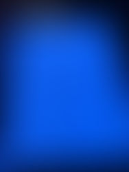 Storybook Dining At Artist Point With Snow White