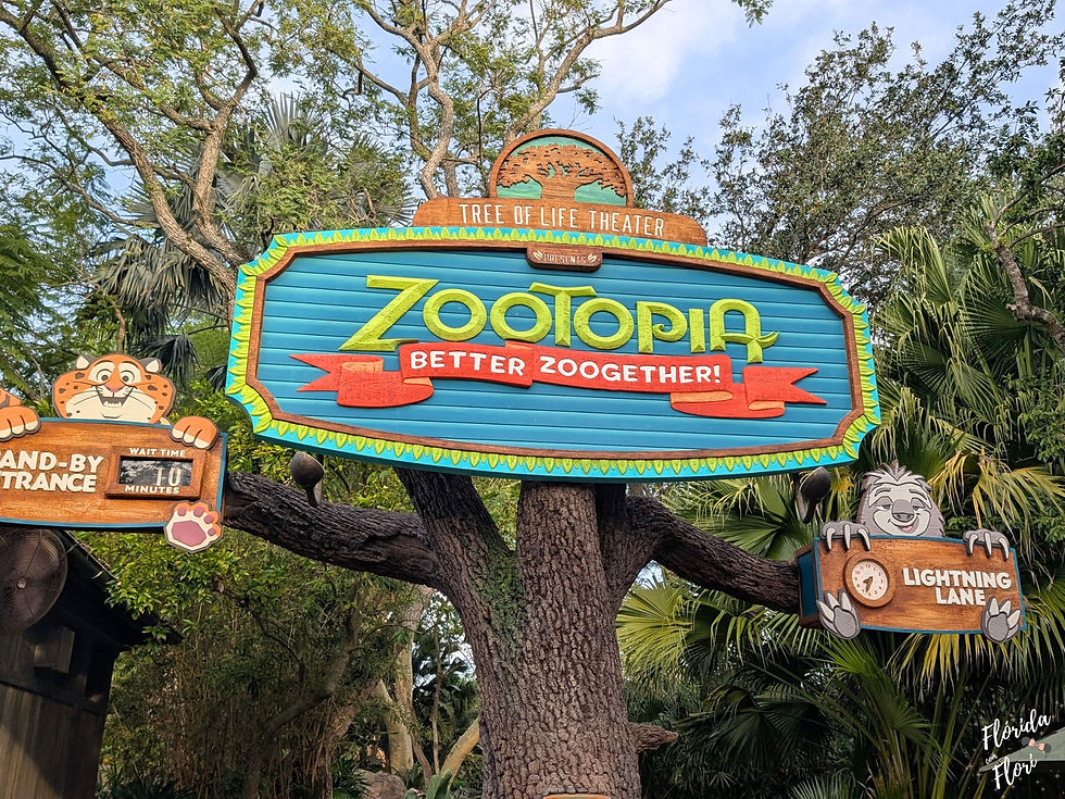 Zootopia Better Zoogether no Animal Kingdom