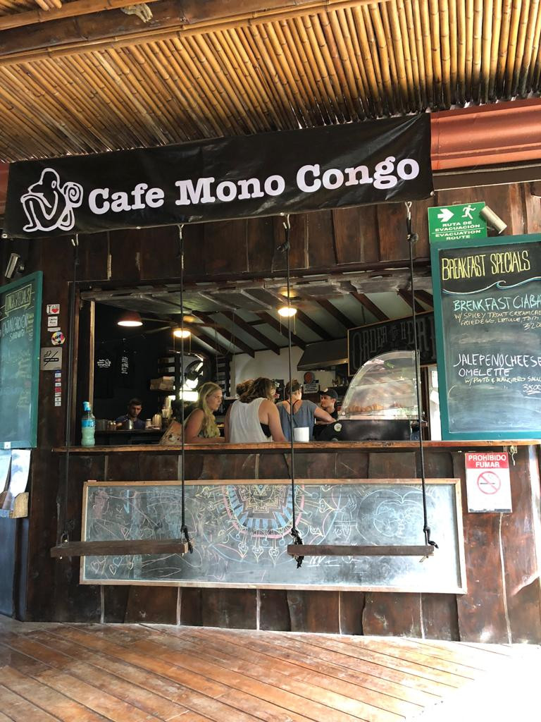 cafe mono congo costa rica