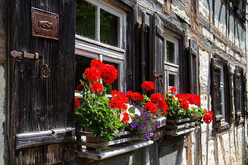 Arthur Berner Bauernhaus Neuhausen ob Eck