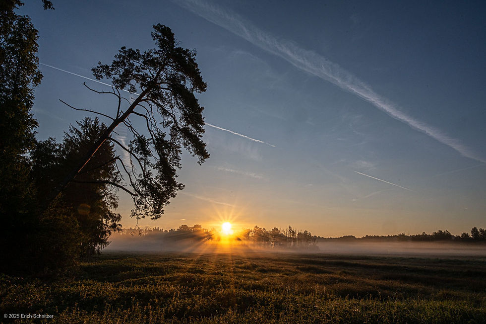Erich Schnitzer Sonnenaufgang bei Oggelshausen