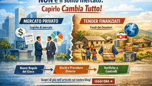 Oltre il mercato: come funzionano davvero i tender internazionali finanziati e perché seguono logiche diverse dal settore privato