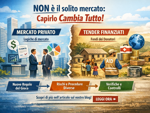 Oltre il mercato: come funzionano davvero i tender internazionali finanziati e perché seguono logiche diverse dal settore privato