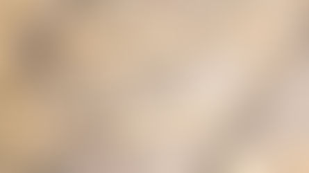 Requisiti e Specifiche di un Tender Internazionale: cosa sono?