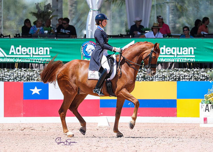 Jennifer Williams Takes Lövsta Future Challenge Young Horse Grand Prix Series Championship on Joppe