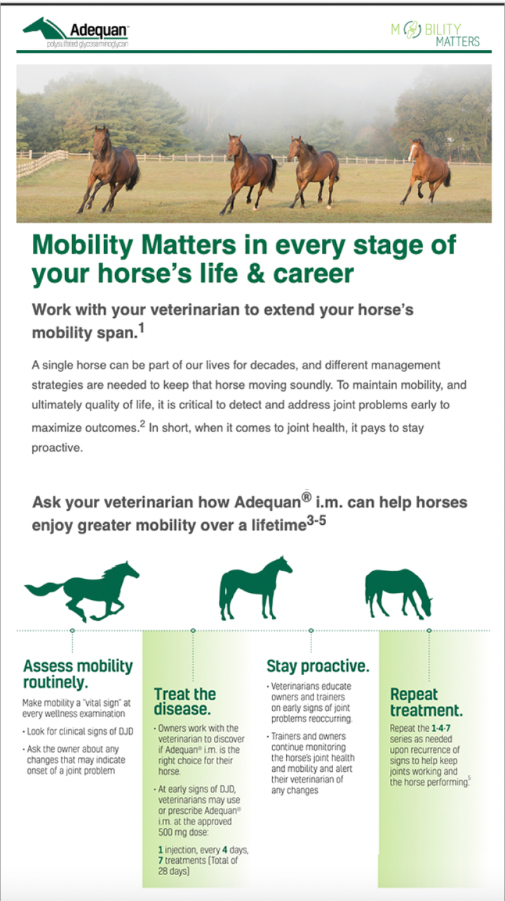 Your horse's mobility matters at every moment