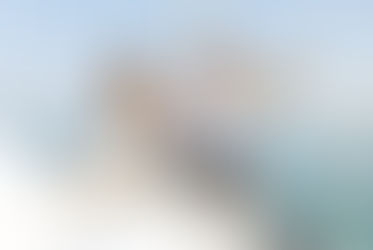 Is wine in danger of becoming a drink for the middle class?