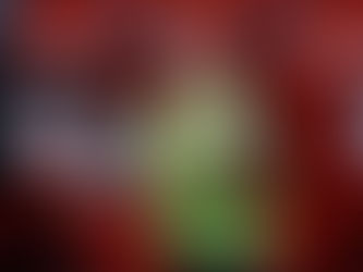 VAN GERWEN TO HEADLINE WORLD SERIES FINALS ON HOME SOIL