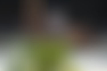 Conor Swail and Theo 160 Finish Strong In $25,000 Sunday Classic