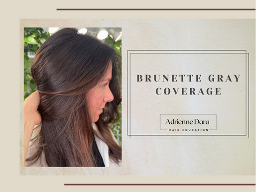 Brunette Gray Coverage