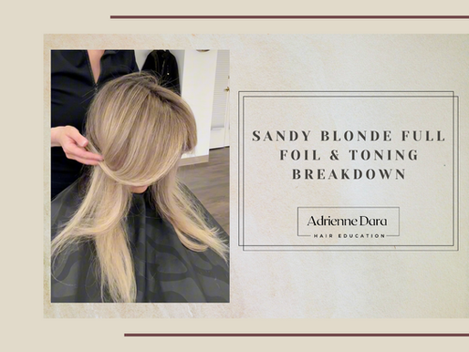 Sandy Blonde Full Foil & Toning Breakdown...