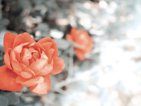 The gendered politics of romance