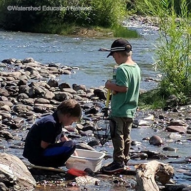 Kids at the river - one holding a small bug net and the other kneeling next to and looking into a tub of water bugs.