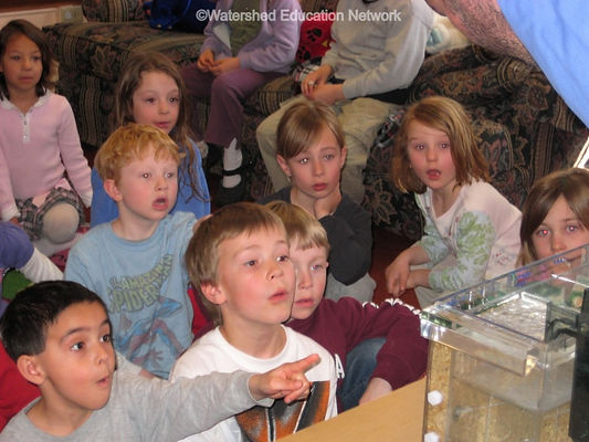 Young kids sitting on the floor looking with wonder at a groundwater flow model in action.