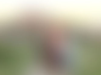 Golden Hour Family Photo Session in the Presidio