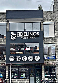 Imagen de WhatsApp 2025-11-24 a las 16.09.13_9d590b2e.jpg