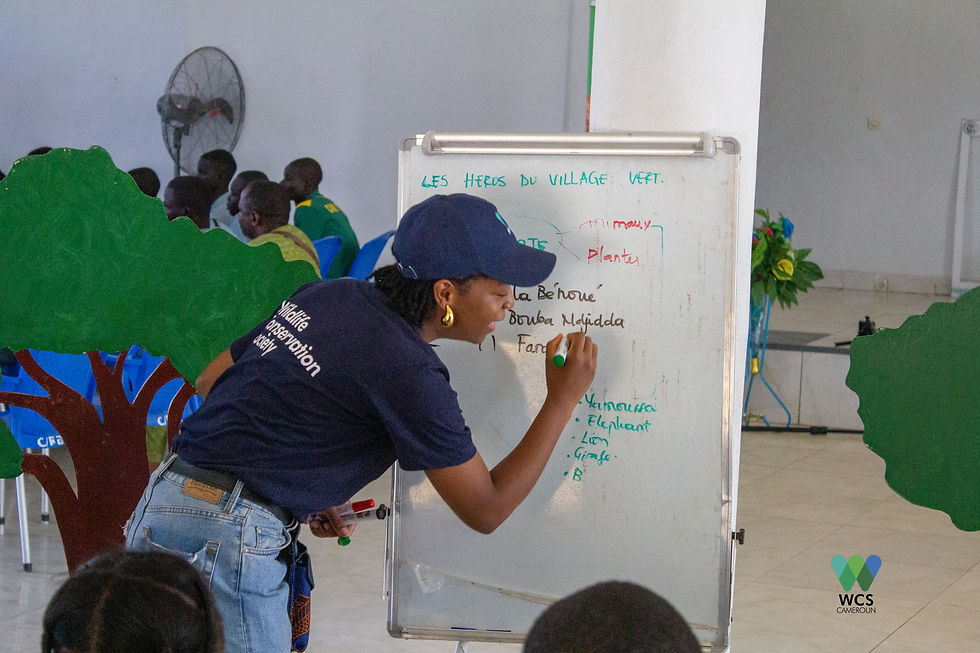 Ma premiÚre campagne de promotion de la biodiversité organisée à REY BOUBA au Nord Cameroun @divinekitio