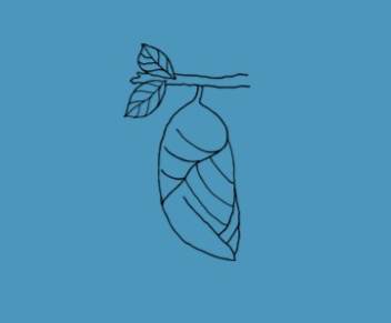  Cocoon logo to emphasize the process of transformation