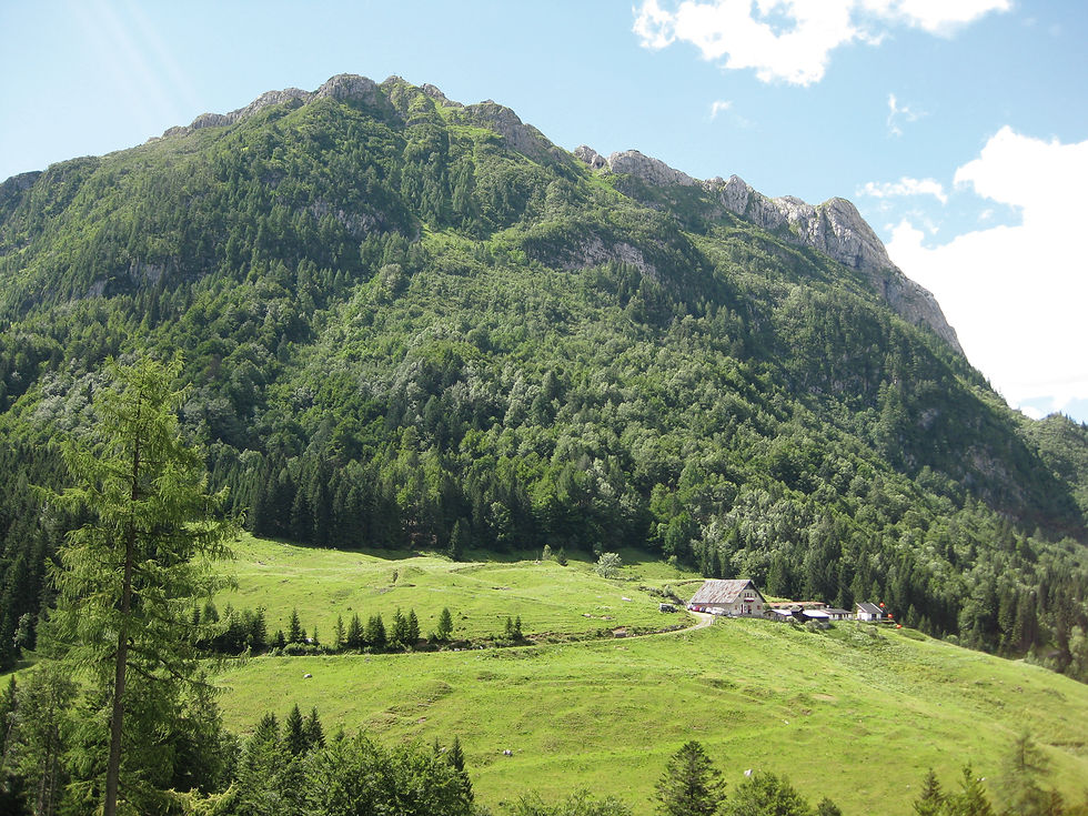 Arbeitsgebiet der Dolomitenfreunde, Hausalm mit Kleinem Pal