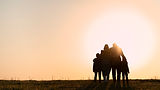full-shot-family-silhouette-having-fun-sunset.jpg