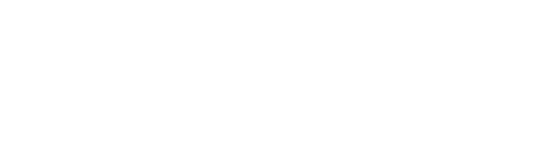 White logo w no excuses.png