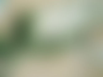 Yatra Kundalini Activation : la rencontre de la science et de la spiritualité