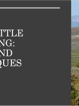 Developing Our Leadership and Beef Knowledge