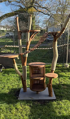 Arbres à chats 6 plateaux