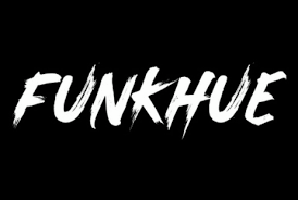 FunkHue Logo