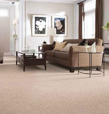 Everstrand Carpet in Living Room Color Edgewater