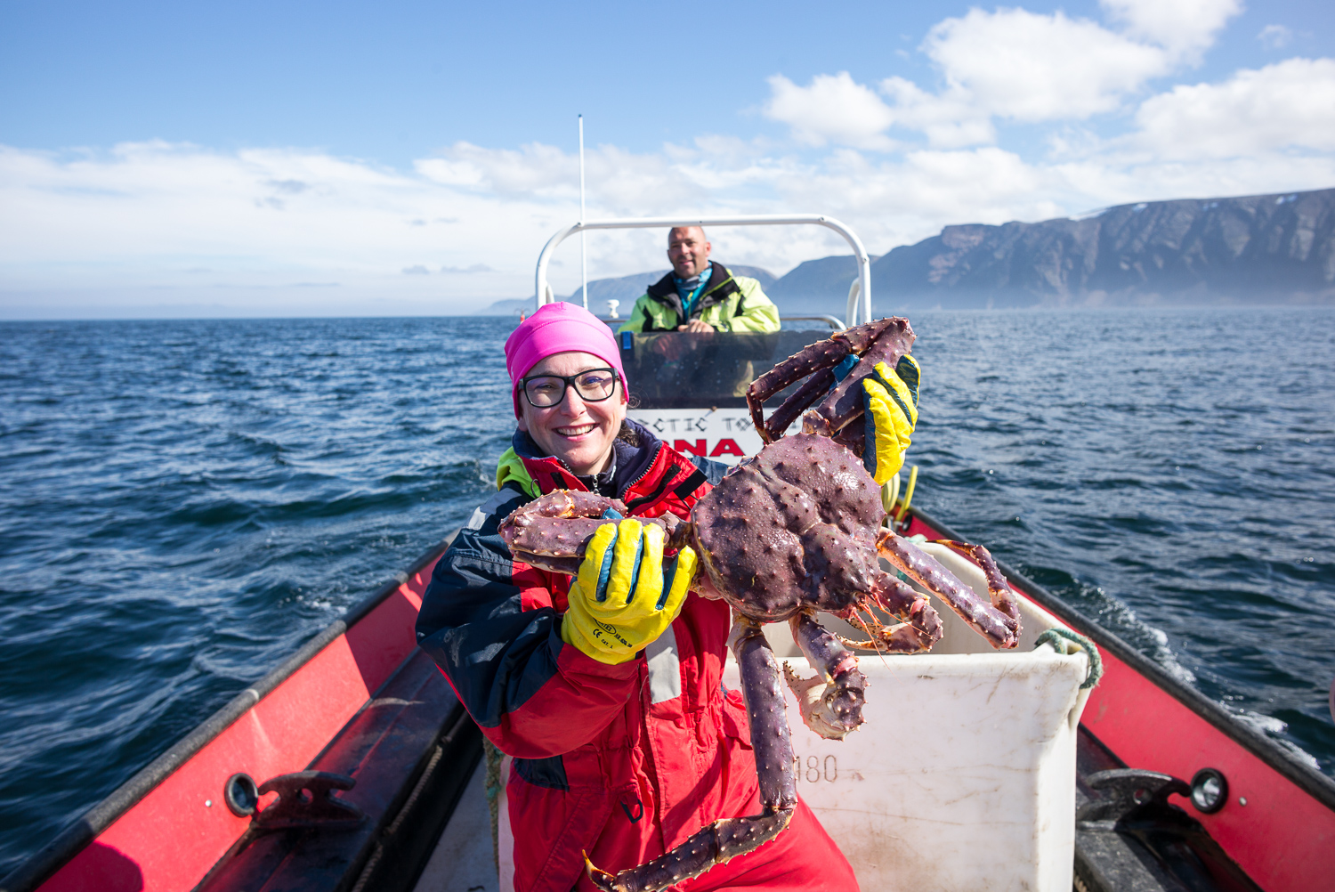 Catching king crabs