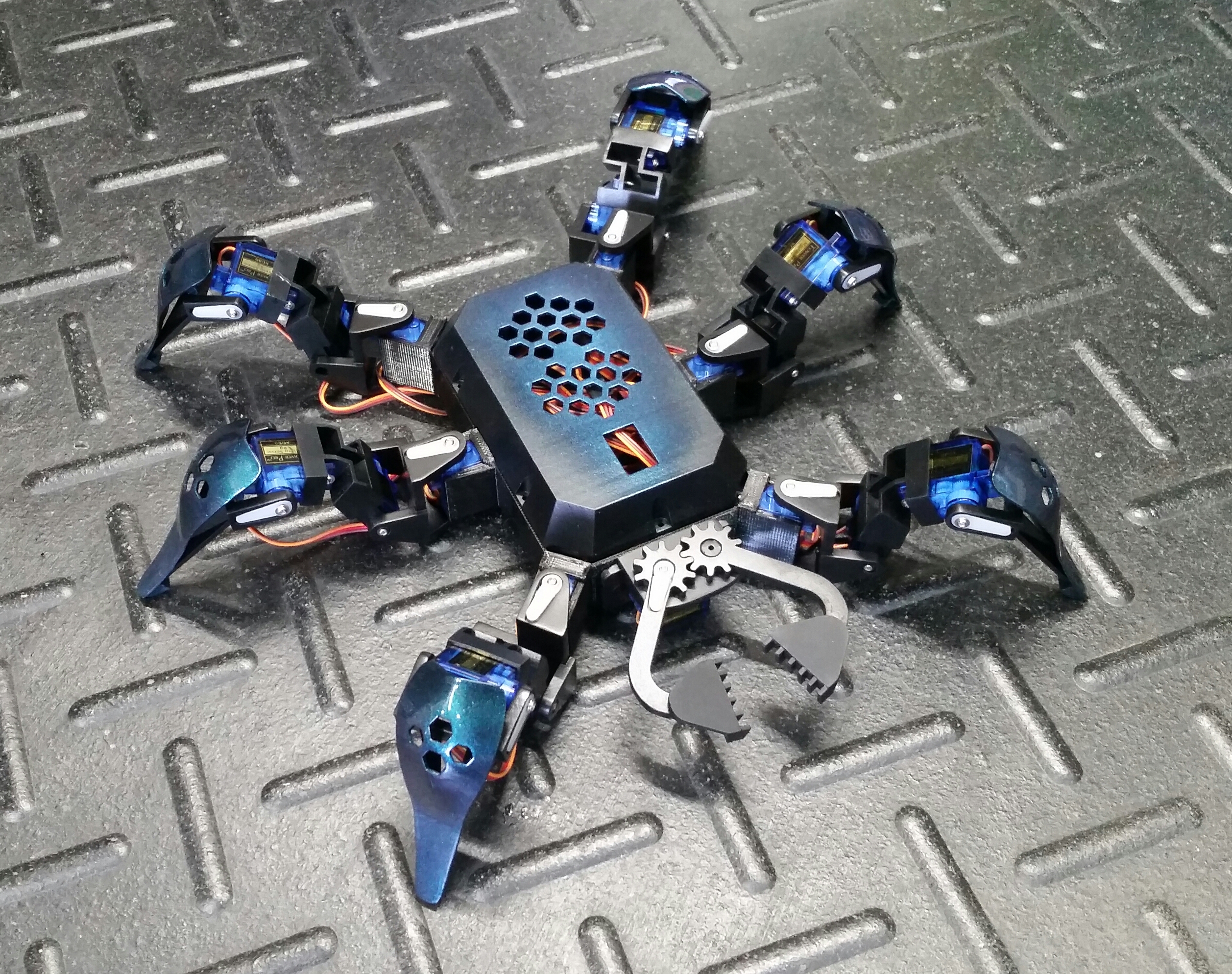 RoboticSpider