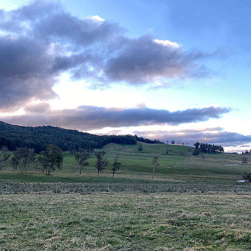 IMG_7747_Springvale.jpg