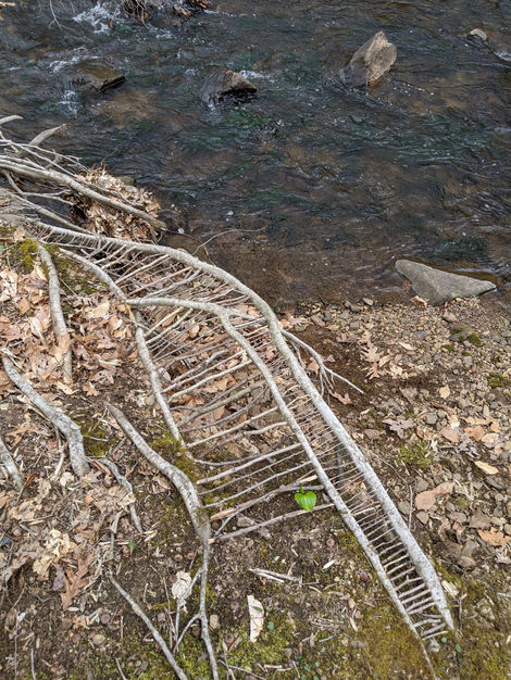 Above the River